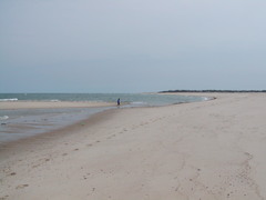Image file: photo11.jpg