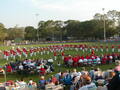 Image file: _1/photo15.jpg