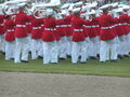 Image file: _3/photo57.jpg