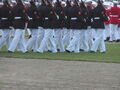 Image file: _4/photo63.jpg