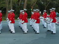 Image file: _4/photo71.jpg