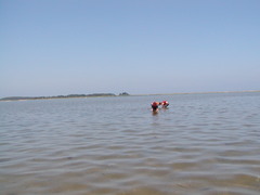 Image file: photo02.jpg