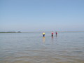 Image file: photo16.jpg