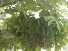 Image file: photo02.jpg