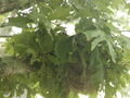 Image file: photo02.jpg