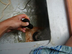 Image file: photo06.jpg