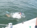 Image file: photo04.jpg