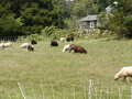 Image file: _2/photo35.jpg