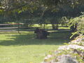Image file: _2/photo38.jpg