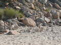Image file: _1/photo09.jpg