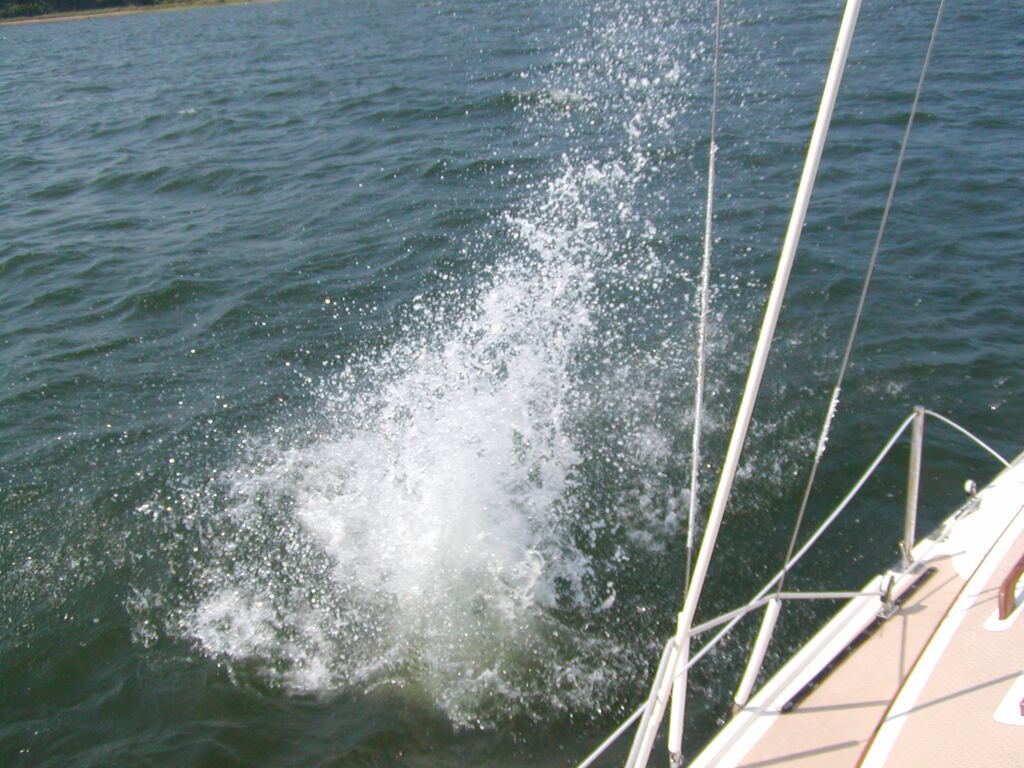 No description provided for: /2003/07-09/0713-sailing/photo11.html
