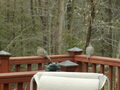 Image file: photo08.jpg