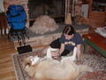 Image file: photo01.jpg