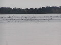 Image file: photo02.jpg