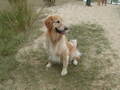 Image file: photo07.jpg