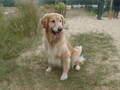 Image file: photo08.jpg
