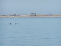 Image file: _1/photo08.jpg
