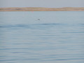 Image file: _1/photo09.jpg