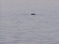 Image file: _2/photo15.jpg