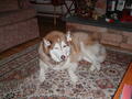 Image file: photo01.jpg