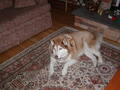 Image file: photo08.jpg