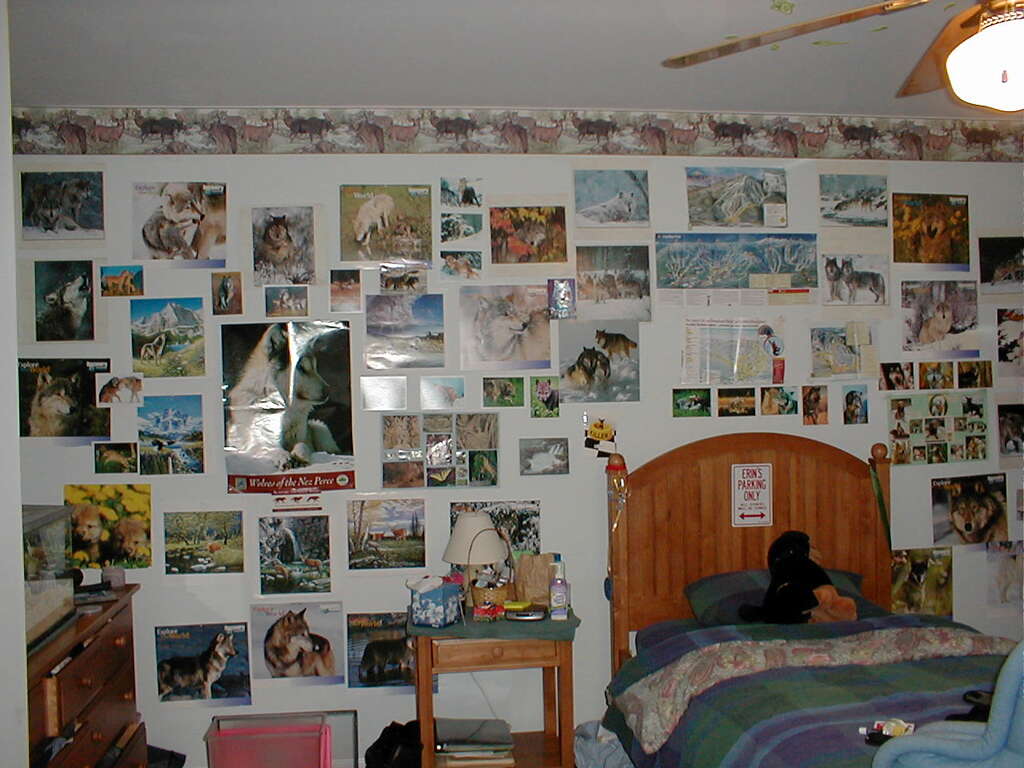 No description provided for: /2004/04-06/0424-erins-room/photo03.html