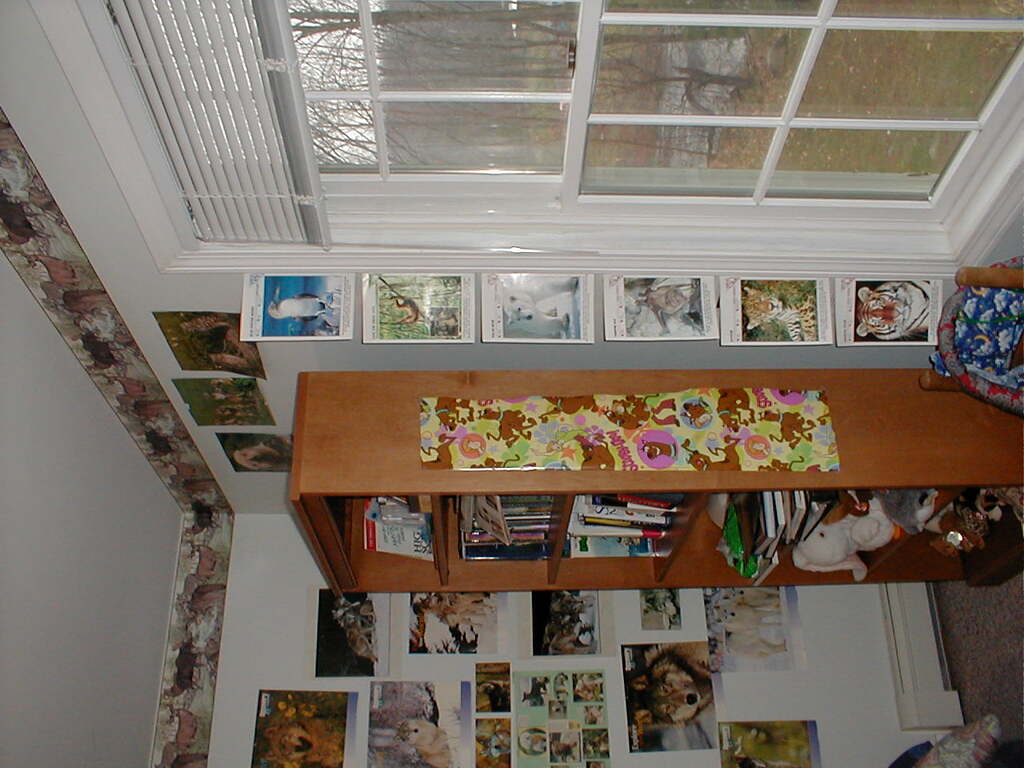 No description provided for: /2004/04-06/0424-erins-room/photo11.html