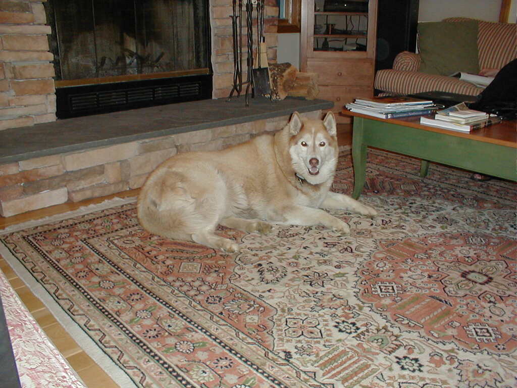 No description provided for: /2004/04-06/0424-snowball/photo01.html