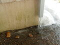 Image file: photo08.jpg