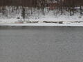 Image file: photo04.jpg