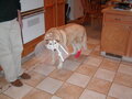 Image file: photo01.jpg