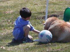 Image file: photo15.jpg