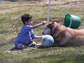 Image file: _1/photo14.jpg