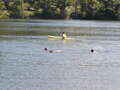 Image file: _2/photo35.jpg