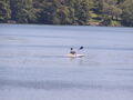 Image file: _2/photo40.jpg