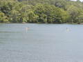 Image file: _2/photo45.jpg