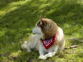 Image file: _4/photo82.jpg
