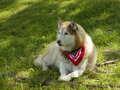 Image file: _4/photo83.jpg