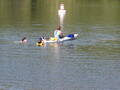 Image file: _4/photo85.jpg