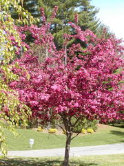 Image file: photo07.jpg
