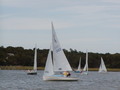 Image file: _2/photo48.jpg