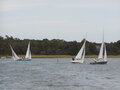 Image file: _2/photo50.jpg