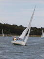Image file: _2/photo51.jpg