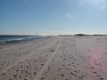Image file: _1/photo13.jpg