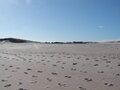 Image file: _2/photo15.jpg