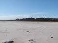 Image file: _2/photo22.jpg