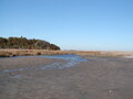 Image file: _2/photo26.jpg