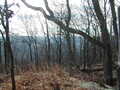 Image file: photo04.jpg