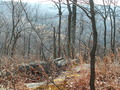 Image file: photo05.jpg