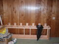 Image file: photo01.jpg
